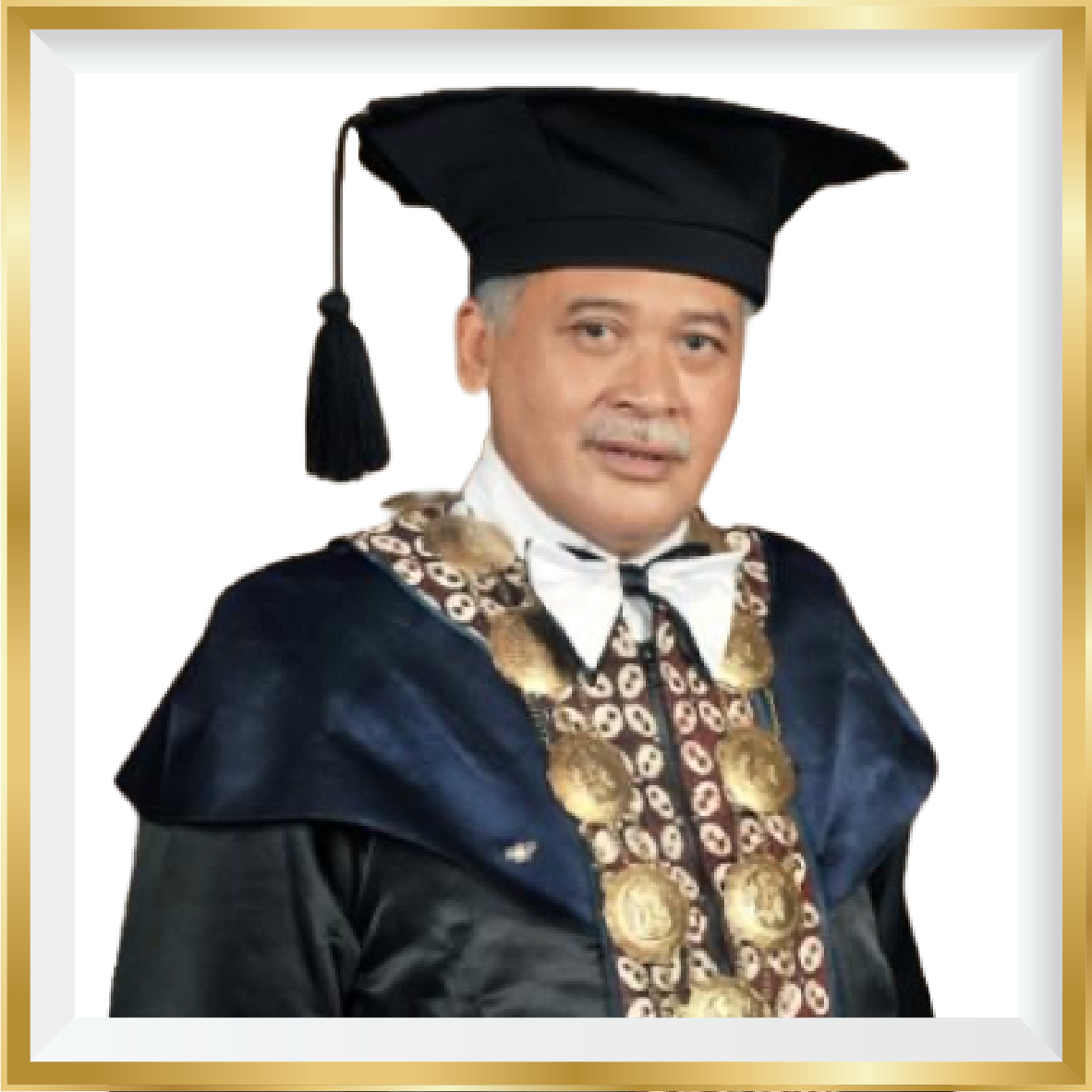 Prof. Dr. Sumaryanto, M.Kes., AIFO