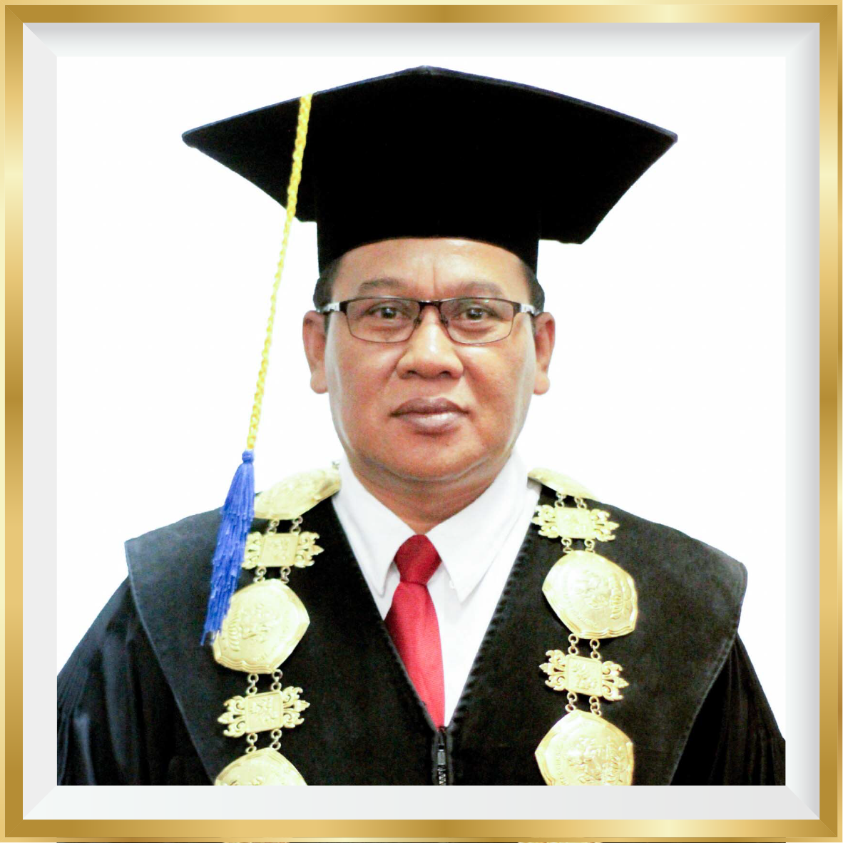 Prof. Dr. I Wayan Lasmawan, M,Pd